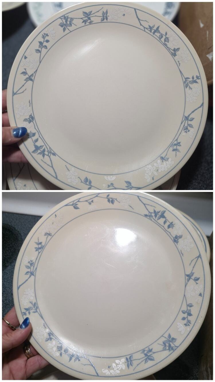 Vintage Corelle First of Spring 10-1/4" Dinner Plates Set of 2 by Corning USA